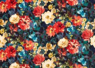 Фото - Ткани Clarke&Clarke Exotica 2 - 552421>