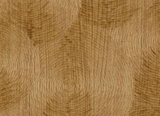 Фото - Обои Elitis Bois sculpte - 556968>