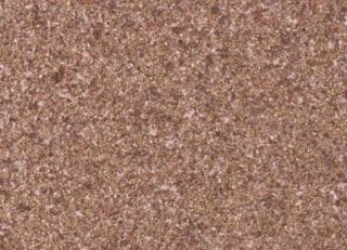 Фото - Обои Arte Essentials Kaolin - 630491>