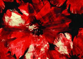 Фото - Обои Seabrook Avant Garde - 216013>