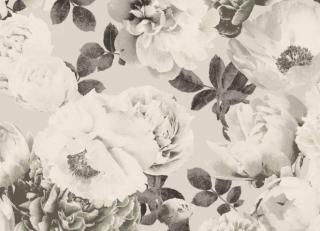 Фото - Обои Khroma Kent - 458871>