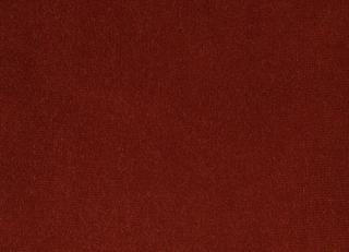 Фото - Ткани Foresti Home Collection Velluto di cotone Zeus - 563373>