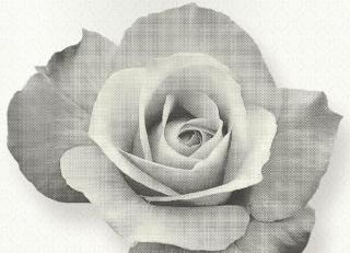 Фото - Обои Origin Park Avenue - 346243>