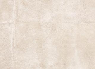 Фото - Ткани Zinc Shorn Sheepskin - 542529>