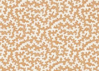 Фото - Обои Sanderson Arboretum - 565769>