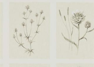 Фото - Обои Sanderson Embleton Bay - 370525>