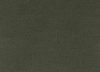 Фото - Ткани Ralph Lauren English Riding Velvet - 550183>