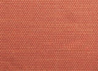 Фото - Ткани Dedar Fifty Fifty - 409168>