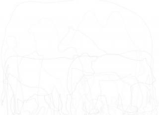 Фото - Обои Mr Perswall Interaction - 234533>