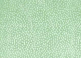 Фото - Ткани Anna French - 354221>