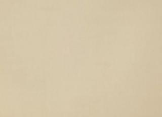 Фото - Ткани Дом CARO Plushery - 533198>