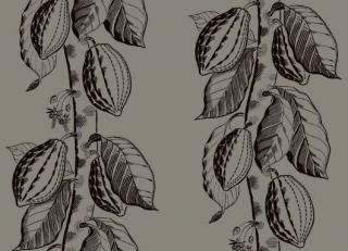 Фото - Обои Cole & Son Frontier - 232716>