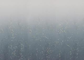 Фото - Ткани Dedar Cosmic Confetti - 408271>