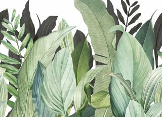 Фото - Обои Hohenberger Tropical - 545125>