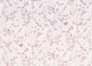 Фото - Ткани Caselio Forever - 297101>