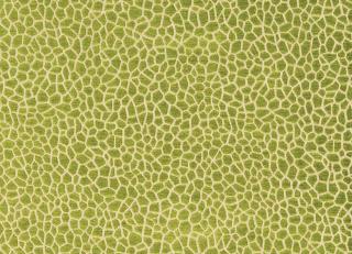 Фото - Ткани Matthew Williamson Samana - 260832>