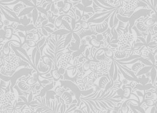 Фото - Обои BorasTapeter Wonderland - 257007>