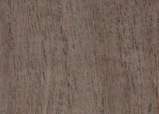 Фото - Обои Yana Svetlova Paulownia - 572460>