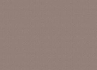 Фото - Обои для стен Chivasso - 578816>