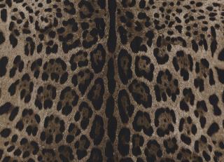 Фото - Обои Emiliana Parati Dolce&Gabbana - 609945>