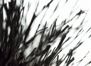 Фото - Обои Mr Perswall Photo - 235216>