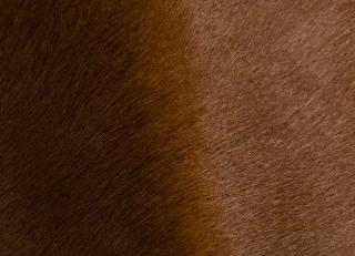 Фото - Ткани Studioart - 544253>