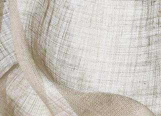 Фото - Ткани Dedar Sheers - 266539>