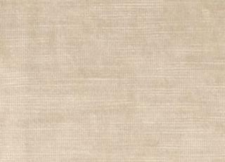 Фото - Ткани Clarke&Clarke Majestic Velvet - 296330>