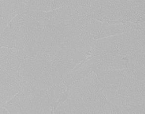 Фото - Обои Andrea Rossi Spectrum+ - 616422>