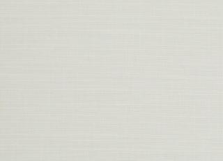 Фото - Ткани Clarke&Clarke Tussah & Seda - 362959>