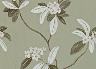 Фото - Обои Sanderson Richmond hill - 189780>