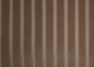 Фото - Ткани Foresti Home Collection Velluto a coste larghe - 563335>