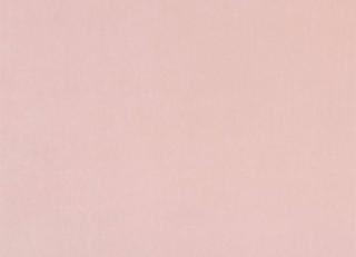 Фото - Ткани Clarke&Clarke Alvar 2 - 492783>