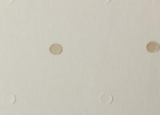 Фото - Ткани Clarke&Clarke Natura Sheers - 296618>