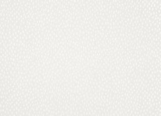 Фото - Обои Villa Nova Still Life Wallcoverings - 509523>