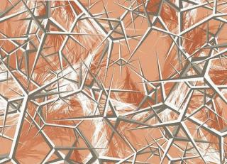 Фото - Обои Tres Tintas Sophie - 198141>