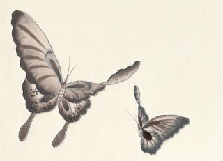 Фото - Обои Fromental 20th century - 318835>