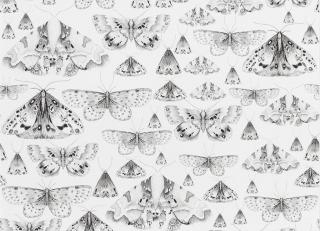 Фото - Обои Designers Guild Jardin Des Plantes - 320735>