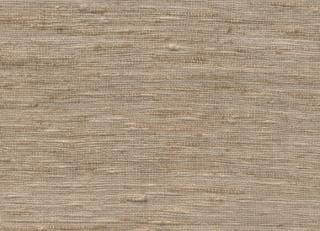 Фото - Обои Arte Wild Silk - 599530>