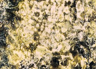 Фото - Обои Elitis Oxydes - 469937>