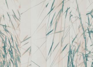 Фото - Ткани Villa Nova Ceto Sheers - 472141>