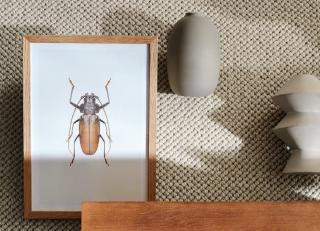 Фото - Ковры JAB Anstoetz Soho Collection - 548620>