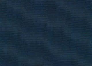 Фото - Ткани Kvadrat Raas by Doshi Levien - 631853>