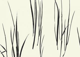 Фото - Обои Paper & Ink Coastal Chic - 308889>