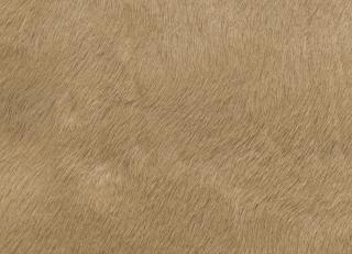 Фото - Аксессуары Holly Hunt Кожа Specialty - 589384>