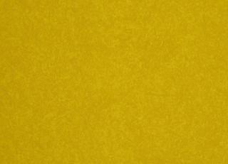 Фото - Обои Caselio Duo - 226947>