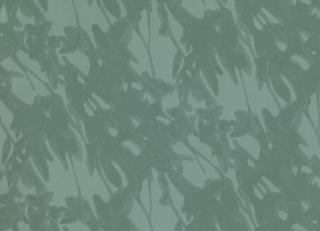 Фото - Обои Villa Nova Ostara Wallcoverings - 456925>