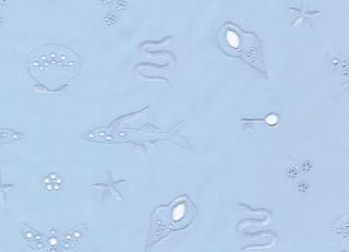 Фото - Ткани Sahco Ketaki - 569925>