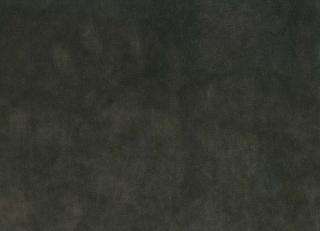 Фото - Ткани Osborne & Little - 261109>