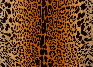 Фото - Ткани Luigi Bevilacqua - 371812>